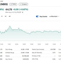 ์๋น๋์ ํฌ์ ์์์ AI ์
์ฒด ๋ค๋น์ฐ์ค 7% ๊ธ๋ฑ
