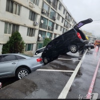 옹벽 사이 '콕콕' 차량 6대 고꾸라졌다…남양주아파트무슨 일