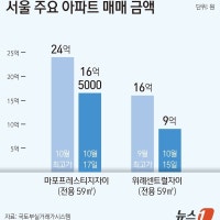 10·15 대책 이후, 마포구아파트7억 '뚝'…친족 거래 사례 속출