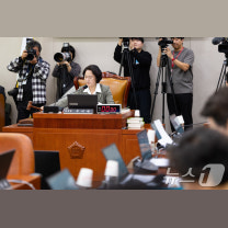 법사위 대검 국감 또다시 '화약고'…쿠팡 외압·띠지 분실 '공방'