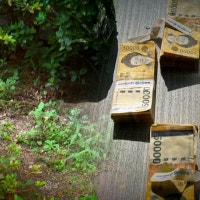 '의문의 7500만원' 아파트 화단 돈뭉치, 주인 찾았는데...