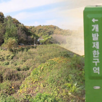 그린벨트 풀고 아파트 짓는다…서초·고양·의정부·의왕에 '5만호'