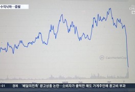 '한국산 코인' 대폭락…가상화폐 시총 한달새 1000조 증발