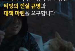 티빙 드라마 '장미맨션', 길고양이 학대·살해 장면 논란…카라 "진실 규명할...