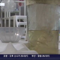 아파트 천장서 오수 '날벼락'…주범은 '불법 음식물처리기'