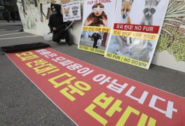 한국동물보호연합, 모
