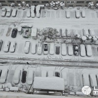 광주·전남 폭설에 꽁꽁 묶인 하늘길·뱃길·도로