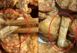 [랜선핫이슈] 담배꽁초 치킨 논란·호주 시드니 스핑크스·프랑스 센강의 뼈만...