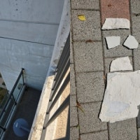 1년 넘긴 아파트 하자소송에 멍드는 입주민들…내부 분란으로 번져