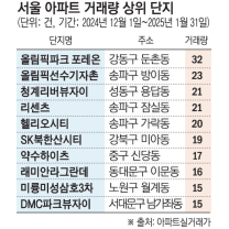 “그래도 찾는다”…서울 아파트 거래 한파 속 ‘송파·신축’ 수요 쏠...