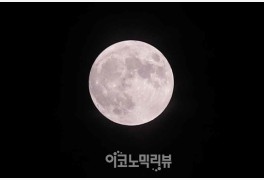 [ER 포토] '보일랑 말랑' 분홍빛 보름달...'스트로베리 문'