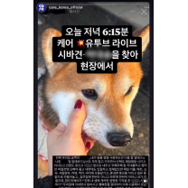 대구서 '반려견 파양·학대' 논란 확산…수성구