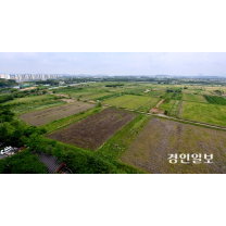 ‘토허제’ 인천은 어땠나… 해제된 4곳 거래량 오히려 감소