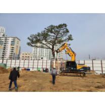 리그린, 폐기 조경 수목 가치 발견 위한 시스템 구축