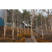 1조 쏟은 도시재생 '변혁의 바람' 없었다
