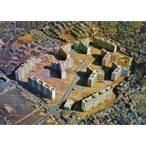 김정형의 100년의 기록 100년의 교훈