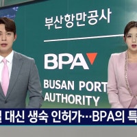 호텔 짓겠다더니 생숙...감사원,