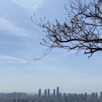 연말부터 무섭게 떨어지던 인천 아파트 매매가, 새해에도 이어져