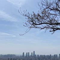 1월 인천 아파트 매매 거래량, 1년 새 '반토막'
