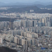 '얼죽신' 심화…대구 5년 내 신축 아파트와 5년 초과 구축 아파트 가격...