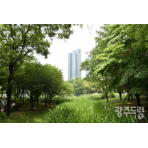 서울숲서 '백만평 광주숲'을 상상하다