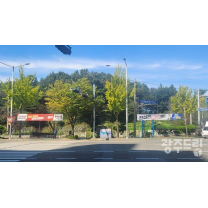 광주시 정당 현수막 위법엔 과태료 제로