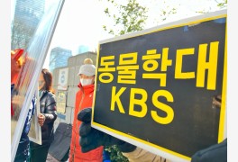 [K] KBS  