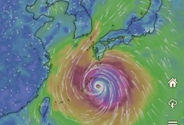 윈디닷컴에 포착된 태풍 10호 하이선의 모습 ‘엄청난 위력’