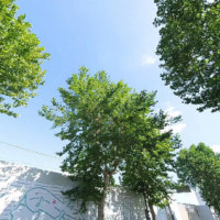 서울 대형 재건축·재개발 사업지 입주권 거래 활발