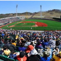 롯데, 진짜 울산 오나