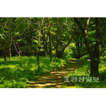 울산숲 연계한 만남의 광장 조성된다