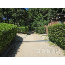 울산 동구, 큰마을 저수지~녹수초 산책로 정비 추진