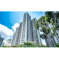 31주 만에 반전했던 대전 아파트값, 한주 만에 다시 하락