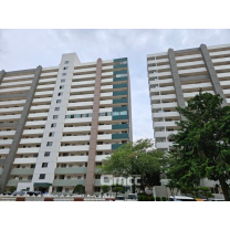 대전 아파트 가격 하락세 이어져