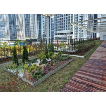 대구예술발전소 생활밀착형숲으로 놀러 오세요