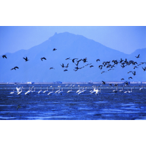 부산 낙동강 교량 건설사업 ‘첩첩산중’