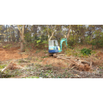 광주 진월동서 무허가 산림 훼손···구청