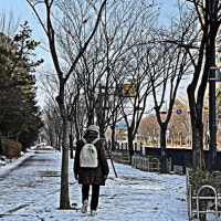 광주 도심 인도 곳곳 쌓인 녹다 남은 눈에 보행자 '불편'