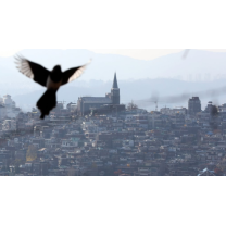 10대 건설사, 올해 수주 '1조 클럽' 달성