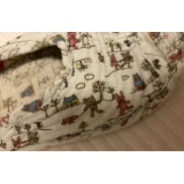 피부염 유발하는 ‘화상벌레’ 올해 대전서 70여건 신고… 피해 주의