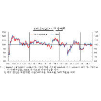 '트럼프 쇼크'에 대전·세종·충남 소비자심리도 위축…주택전망 두 달...