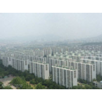 대전 국화아파트 5개 단지, 통합재건축 본격 추진