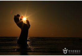 T-map 추천 12월 인기