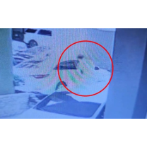 대전서 사이드미러 펴진 차량만 노려 현금 등 절취한 20대 男 구속