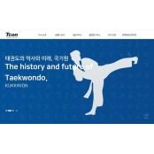 국기원, 태권도 온라인 플랫폼 '티콘' 오픈