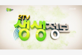 '2TV 저녁 생생정보' 2020 온라인 부산 전포 커피 축제 현장+장단콩 드라이브...