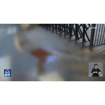 살인 도구가 된 '장식용' 일본도…아파트 입구서 40대 가장 참변