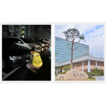 울산시 울주군, 12월 체납차량 번호판 야간 영치 단속 실시