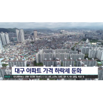 대구 아파트 가격 하락세 둔화