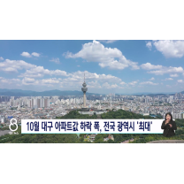 10월 대구 아파트 가격 낙폭 '5대 광역시 최대'